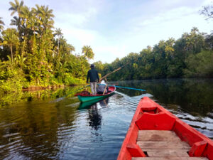 Wildlife Spotting on Stoeng Prat River