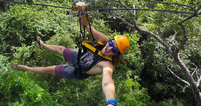 Flight of Gibbon at Angkor Wat