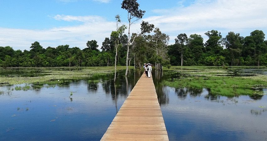 The Grand Circuit Tour 1Day