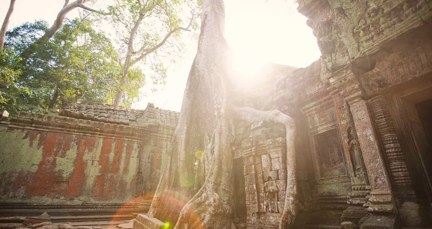 Angkor Wat Sunrise and Temples from Siem Reap Small-Group